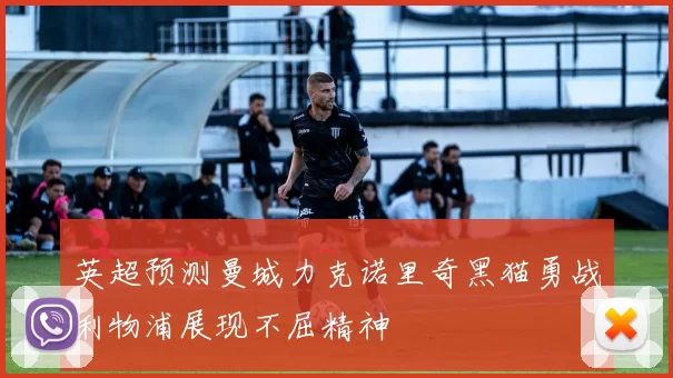 英超预测曼城力克诺里奇黑猫勇战利物浦展现不屈精神