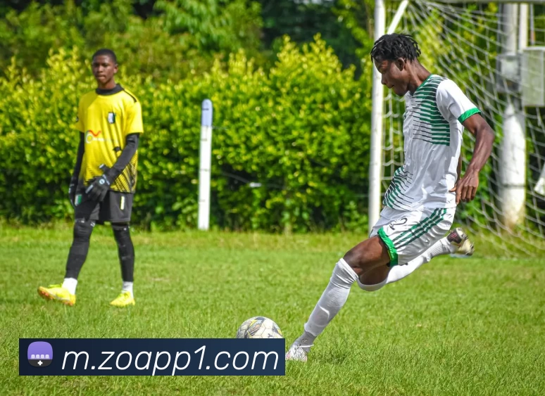 中欧体育APP平台生态图