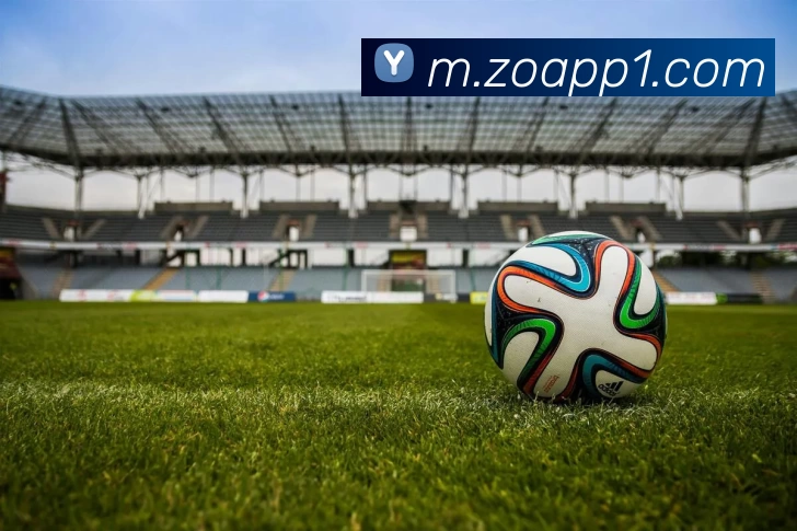 中欧体育APP全站App